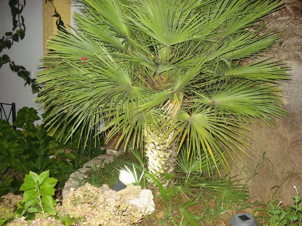 Iron House Apartment Agios Georgios  Bagian luar foto