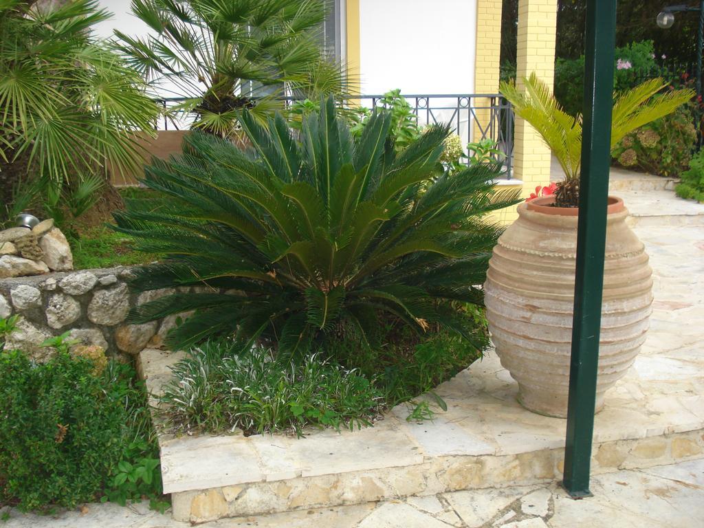 Iron House Apartment Agios Georgios  Bagian luar foto