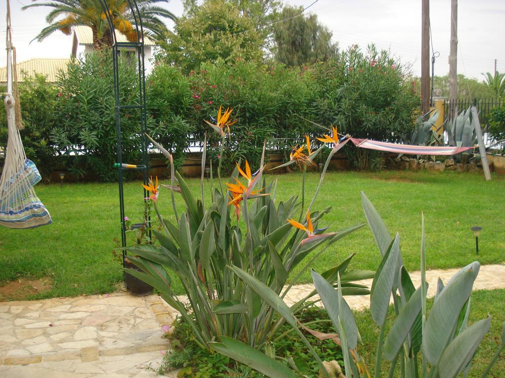 Iron House Apartment Agios Georgios  Bagian luar foto